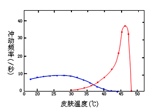 冷热感受器通过神经纤维的放电频率 温度感受器; 2013年初级护师生理