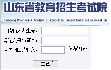 东成人高考成绩查询入口:山东省教育考试院-成