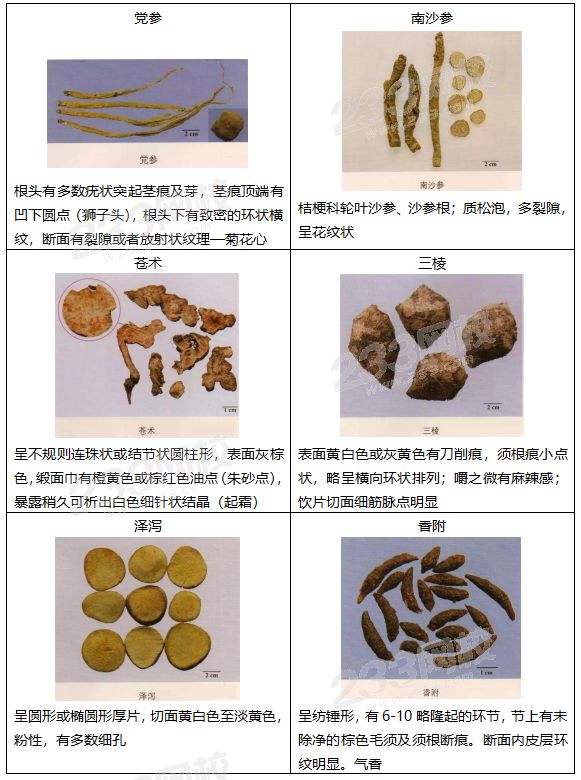 执业药师中药鉴定高分考点 彩图解析(三)