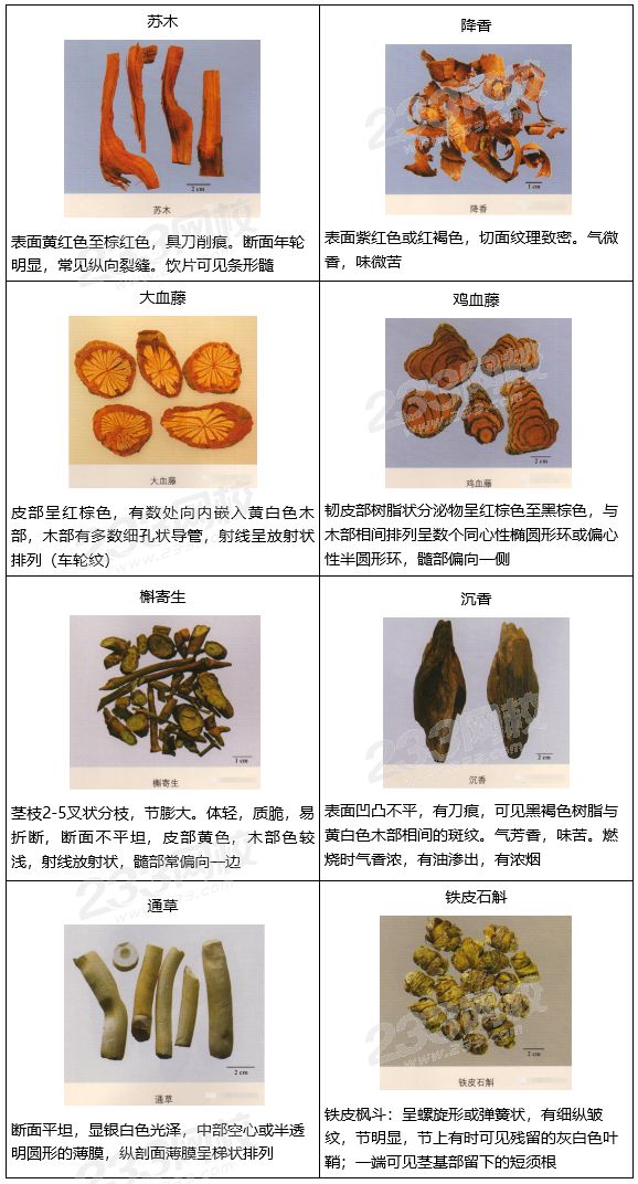 执业药师中药鉴定高分考点彩图解析四