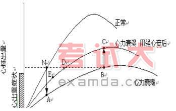 药理学辅导强心苷类