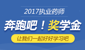 2017年执业药师考试成绩