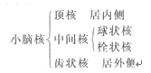 2015年成人高考《医学综合》第一部分第十二章考点及试题