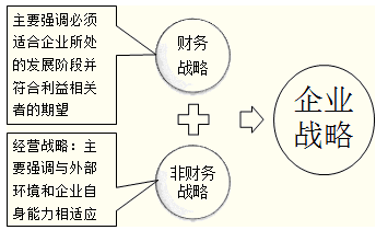 财务战略的确立及其考虑因素