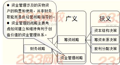 财务战略的确立及其考虑因素