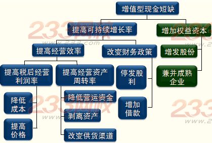 财务战略的选择