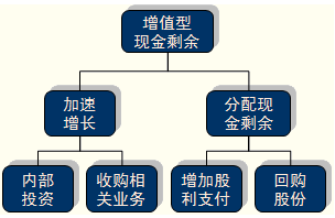 财务战略的选择