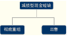 财务战略的选择