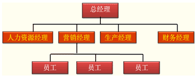 职能制组织结构图