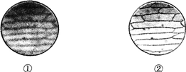 2015年教师资格证考试《生物学科知识与教学能力》(初级中学)模拟试题(3)