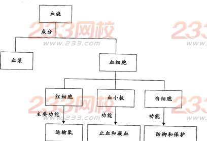 2015年教师资格证考试《生物学科知识与教学能力》(初级中学)模拟试题(4)