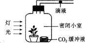 2015年教师资格证考试《生物学科知识与教学能力》(高级中学)模拟试题(1)