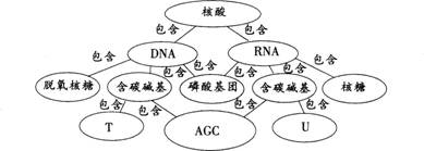 2015年教师资格证考试《生物学科知识与教学能力》(高级中学)模拟试题(2)