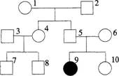 2015年教师资格证考试《生物学科知识与教学能力》(高级中学)模拟试题(2)