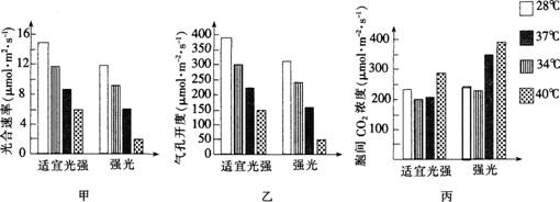 2015年教师资格证考试《生物学科知识与教学能力》(高级中学)模拟试题(2)