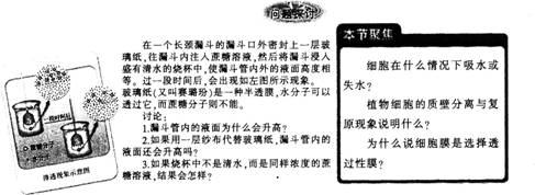 2015年教师资格证考试《生物学科知识与教学能力》(高级中学)模拟试题(2)