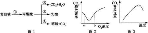 2015年教师资格证考试《生物学科知识与教学能力》(高级中学)模拟试题(3)