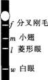 2015年教师资格证考试《生物学科知识与教学能力》(高级中学)模拟试题(4)