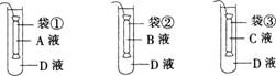 2015年教师资格证考试《生物学科知识与教学能力》(高级中学)模拟试题(4)