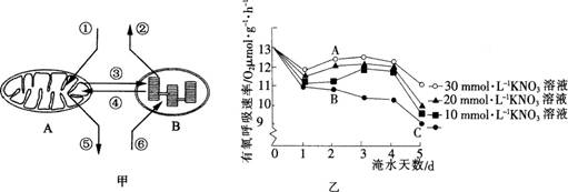 2015年教师资格证考试《生物学科知识与教学能力》(高级中学)模拟试题(4)