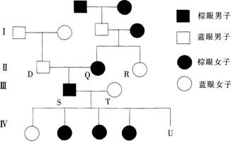 2015年教师资格证考试《生物学科知识与教学能力》(高级中学)模拟试题(4)