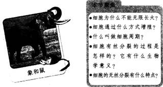 2015年教师资格证考试《生物学科知识与教学能力》(高级中学)模拟试题(4)