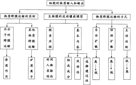 2015年教师资格证考试《生物学科知识与教学能力》(高级中学)模拟试题(4)