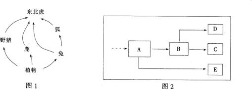 2015年教师资格证考试《生物学科知识与教学能力》(高级中学)模拟试题(5)