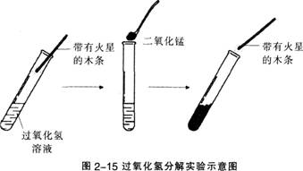 2015年教师资格证考试《化学学科知识与教学能力》(初级中学)模拟试题(2)