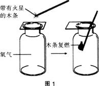 2015年教师资格证考试《化学学科知识与教学能力》(初级中学)模拟试题(5)