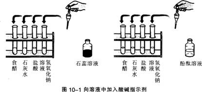 2015年教师资格证考试《化学学科知识与教学能力》(初级中学)模拟试题(5)