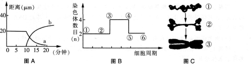 2016年教师资格证考试生物学科知识与教学能力(高级中学)深度押密卷(3)