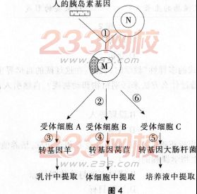 2016年教师资格证考试《生物学科知识与教学能力(初级中学)》深度押密卷(2)