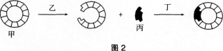 2016年教师资格证考试《生物学科知识与教学能力(初级中学)》深度押密卷(3)