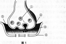 2016年教师资格证考试《生物学科知识与教学能力(初级中学)》深度押密卷(3)