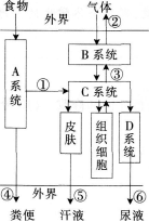 2016年教师资格证考试《生物学科知识与教学能力(初级中学)》深度押密卷(4)