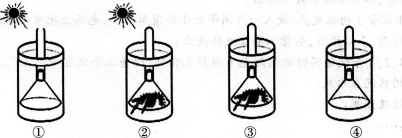 2016年教师资格证考试《生物学科知识与教学能力(初级中学)》深度押密卷(4)