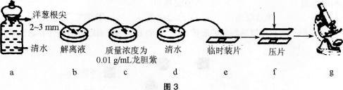 2016年教师资格证考试生物学科知识与教学能力(高级中学)深度押密卷(5)