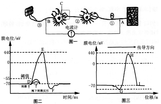 2016年下半年教师资格证考试试题及答案三——生物学科知识与教学能力(高级中学)