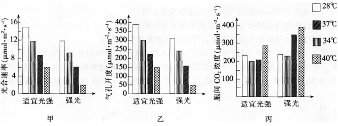 2016年下半年教师资格证考试试题及答案二——生物学科知识与教学能力(高级中学)