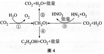 2016年下半年教师资格证考试试题及答案二——生物学科知识与教学能力(高级中学)