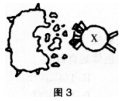 2016年下半年教师资格证考试试题及答案二——生物学科知识与教学能力(高级中学)