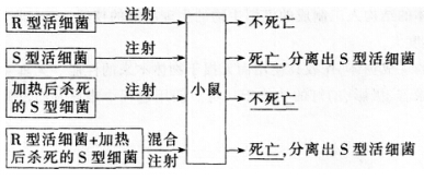 2016年下半年教师资格证考试试题及答案四——生物学科知识与教学能力(高级中学)