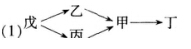 2016年下半年教师资格证考试试题及答案四——生物学科知识与教学能力(高级中学)