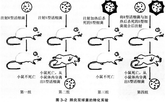 2016年下半年教师资格证考试试题及答案四——生物学科知识与教学能力(高级中学)