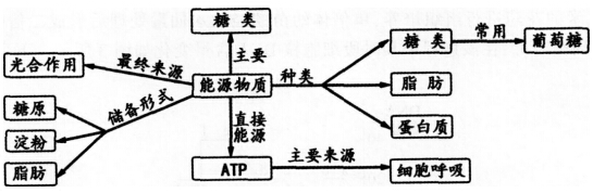 2016年下半年教师资格证考试试题及答案四——生物学科知识与教学能力(高级中学)