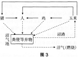 2016年下半年教师资格证考试试题及答案二——生物学科知识与教学能力(初级中学)