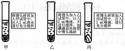 2016年下半年教师资格证考试试题及答案二——生物学科知识与教学能力(初级中学)