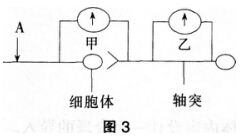 2016年下半年教师资格证考试试题及答案五——生物学科知识与教学能力(初级中学)