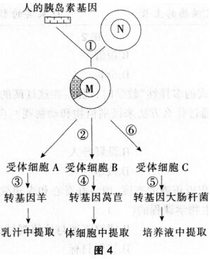 2016年下半年教师资格证考试试题及答案四——生物学科知识与教学能力(初级中学)